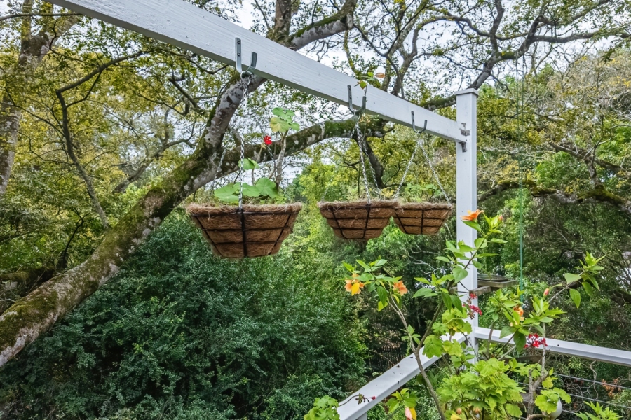 3 Bedroom Property for Sale in Brenton On Lake Western Cape